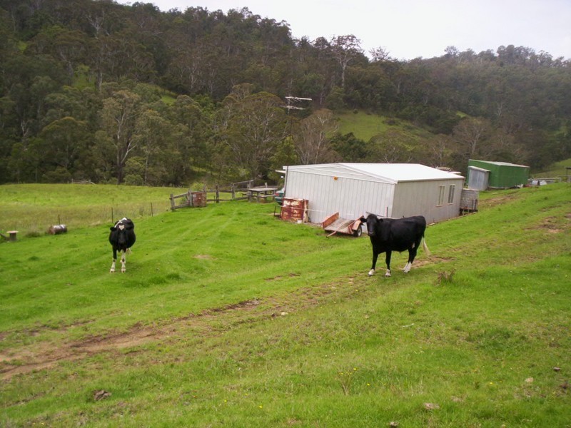 177 Little Careys Trail, Candelo NSW 2550