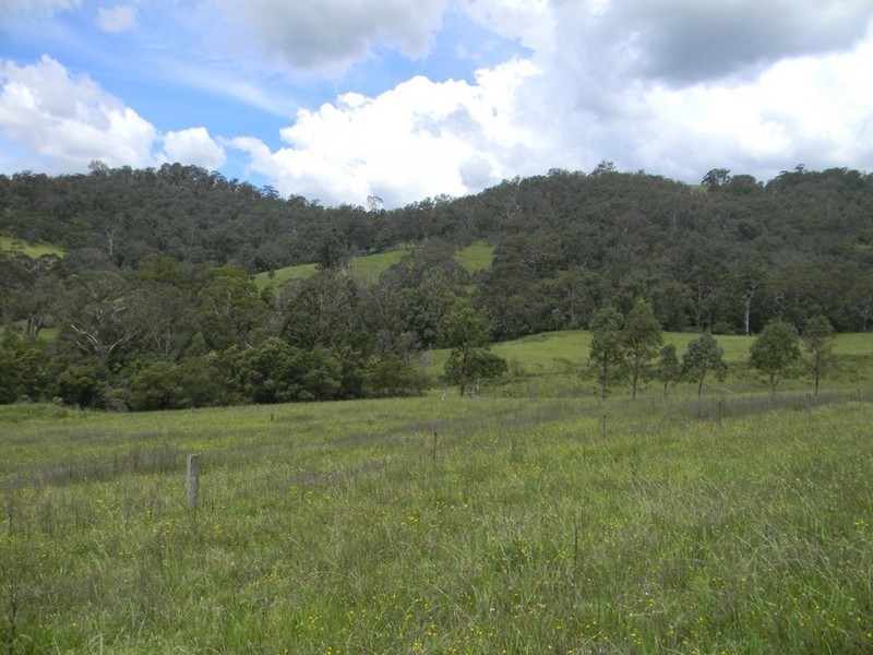 177 Little Careys Trail, Candelo NSW 2550