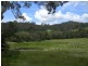 177 Little Careys Trail, Candelo NSW 2550