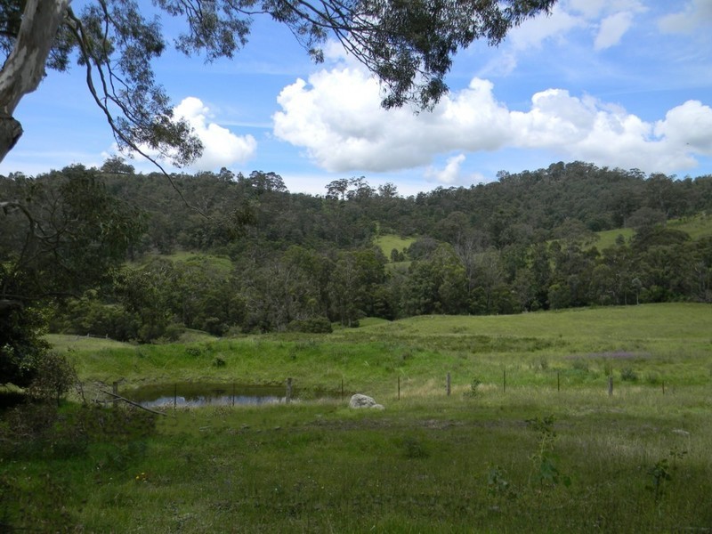 177 Little Careys Trail, Candelo NSW 2550