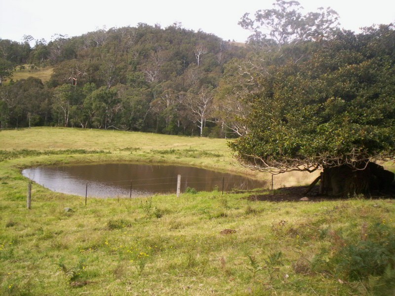 177 Little Careys Trail, Candelo NSW 2550