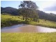177 Little Careys Trail, Candelo NSW 2550