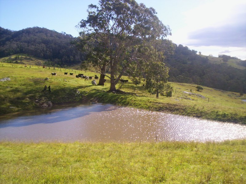 177 Little Careys Trail, Candelo NSW 2550