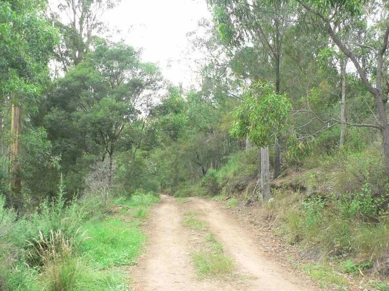 114 Vimy Ridge Road, Reedy Swamp NSW 2550