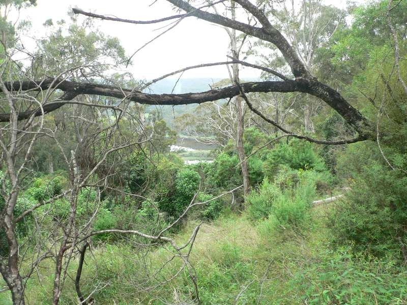 114 Vimy Ridge Road, Reedy Swamp NSW 2550