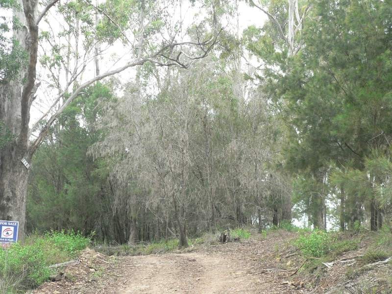 114 Vimy Ridge Road, Reedy Swamp NSW 2550