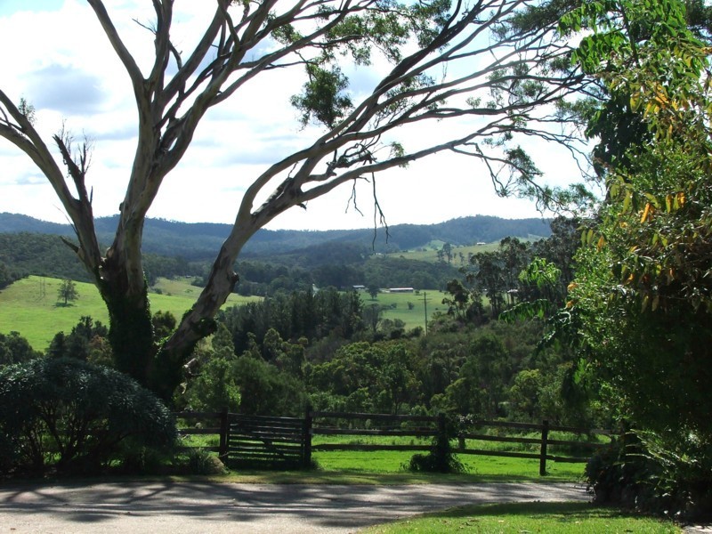 1009 Mt Darragh Road, Lochiel NSW 2549