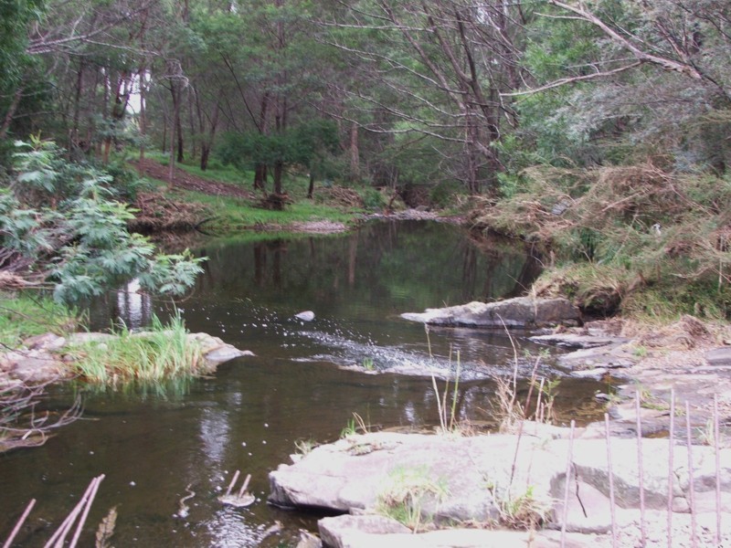 1009 Mt Darragh Road, Lochiel NSW 2549