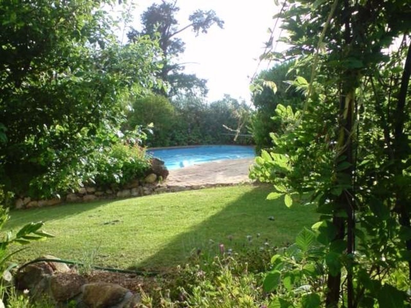 1009 Mt Darragh Road, Lochiel NSW 2549