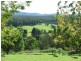 1009 Mt Darragh Road, Lochiel NSW 2549