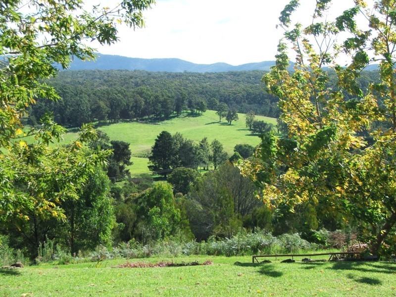 1009 Mt Darragh Road, Lochiel NSW 2549