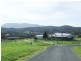 201 Brimmers Lane, Cobargo NSW 2550