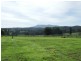 201 Brimmers Lane, Cobargo NSW 2550