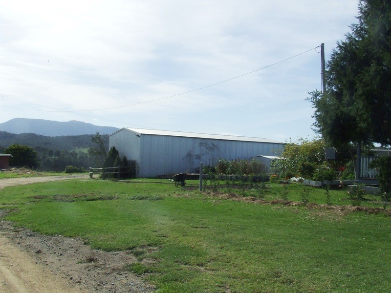 201 Brimmers Lane, Cobargo NSW 2550