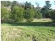 32 Hillview Street, Cobargo NSW 2550