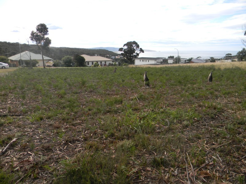 22 (Lot 54) The Dress Circle, Tura Beach NSW 2548
