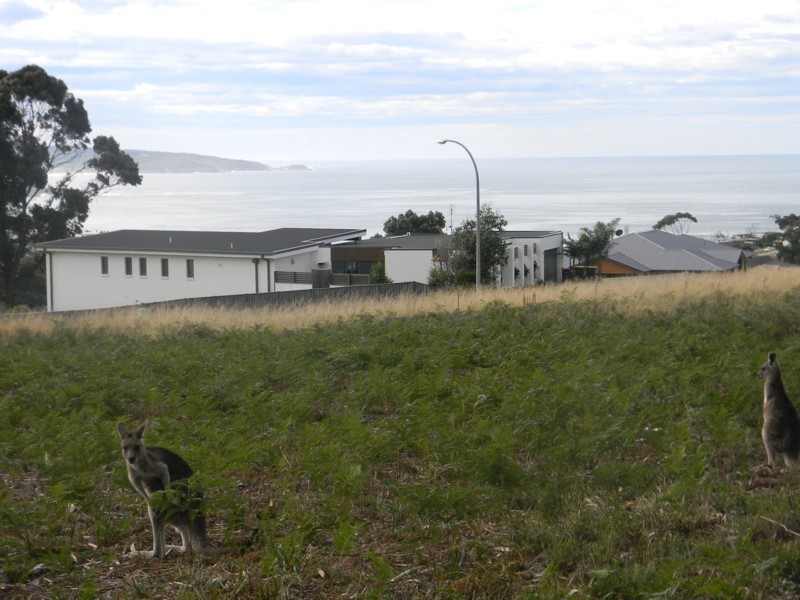 22 (Lot 54) The Dress Circle, Tura Beach NSW 2548