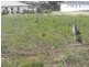22 (Lot 54) The Dress Circle, Tura Beach NSW 2548