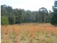 18 Blair Close, Coolagolite NSW 2550