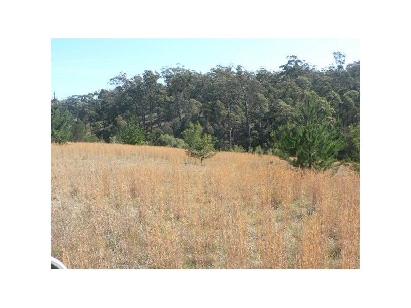 18 Blair Close, Coolagolite NSW 2550