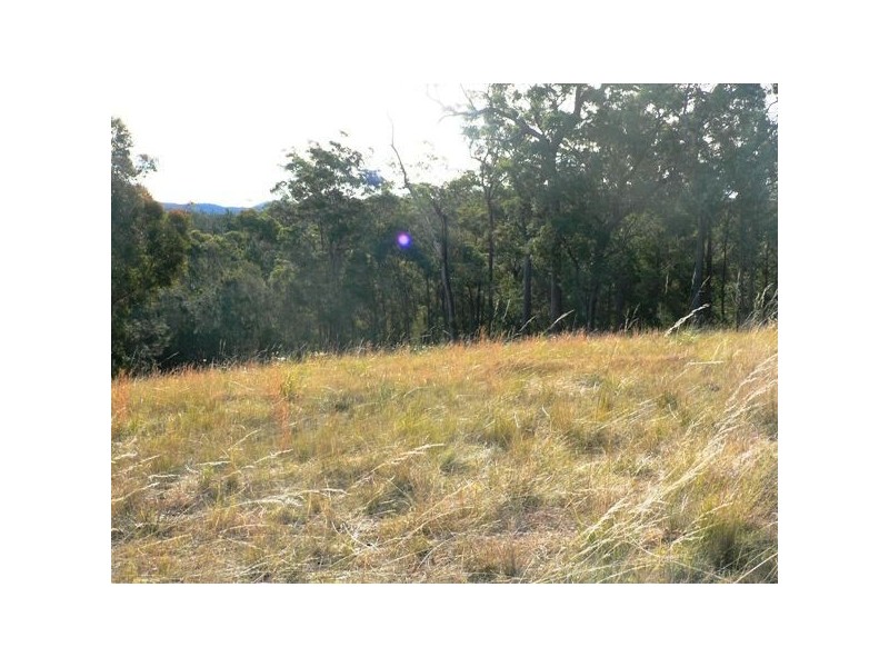 6 Bermagui-Cobargo Rd, Coolagolite NSW 2550