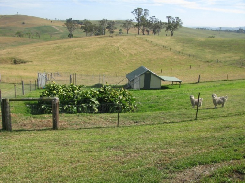 864  Candelo-Wolumla Road, Toothdale NSW 2550