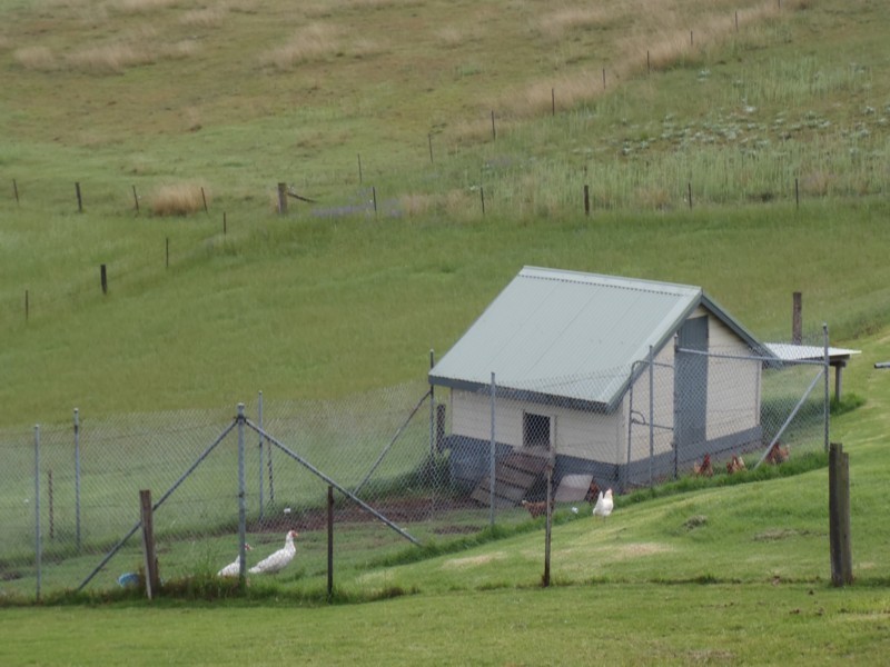 864  Candelo-Wolumla Road, Toothdale NSW 2550