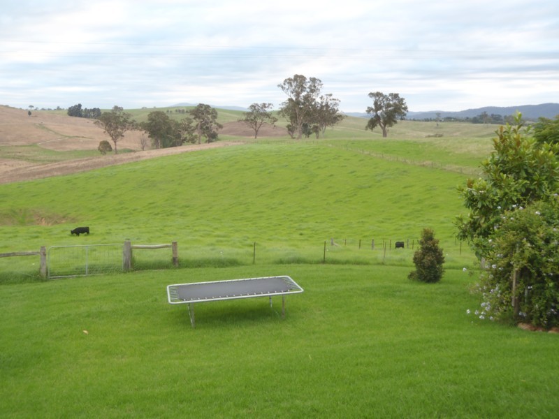 864  Candelo-Wolumla Road, Toothdale NSW 2550