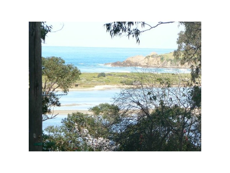 12 Flower Circuit, Akolele NSW 2546