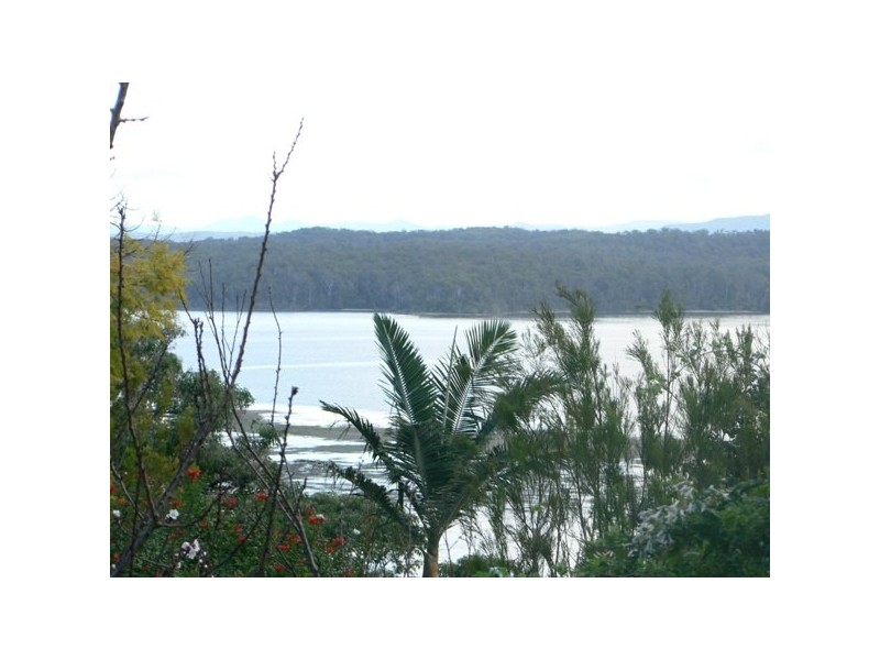 12 Flower Circuit, Akolele NSW 2546