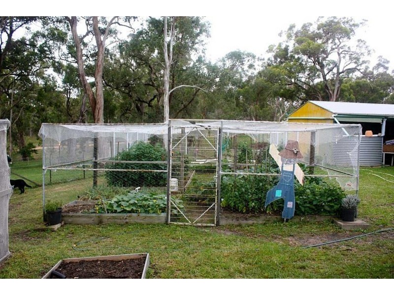 491 Wyndham Lane, Kanoona NSW 2550