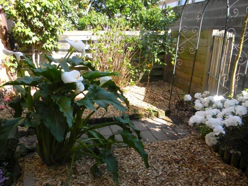 24/59  Main Street, Merimbula NSW 2548