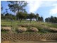 116 Black Range Road, Bega NSW 2550