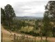 116 Black Range Road, Bega NSW 2550