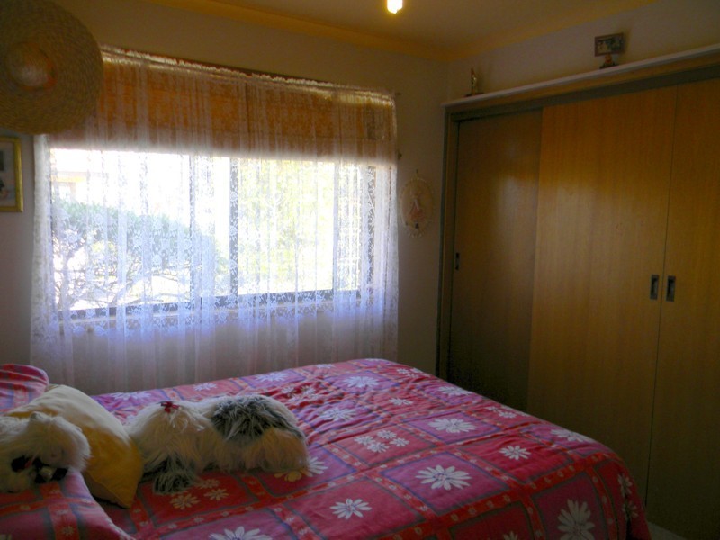 49 Queen Street, Bombala NSW 2632