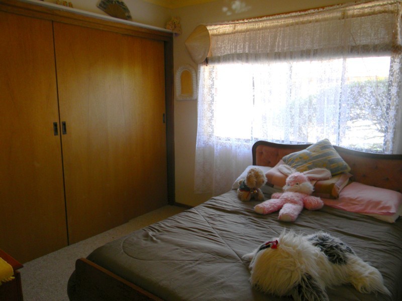 49 Queen Street, Bombala NSW 2632