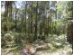 Lot 60 DP42839 Kingfisher Road, Wyndham NSW 2550
