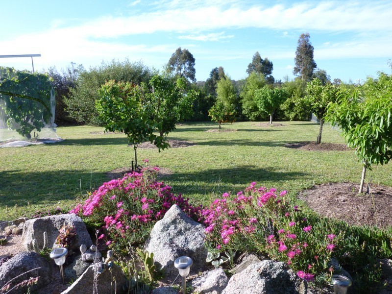 50 Heron Crescent, Kalaru NSW 2550