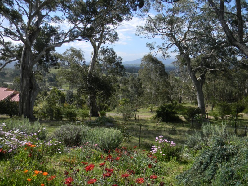20 Northview Close, Bega NSW 2550