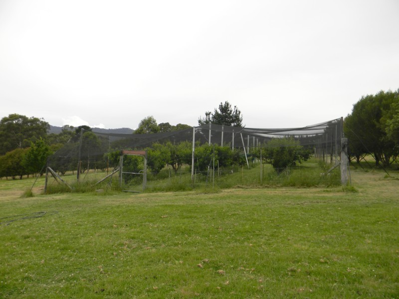 2386 Mt Darragh Road, Wyndham NSW 2550