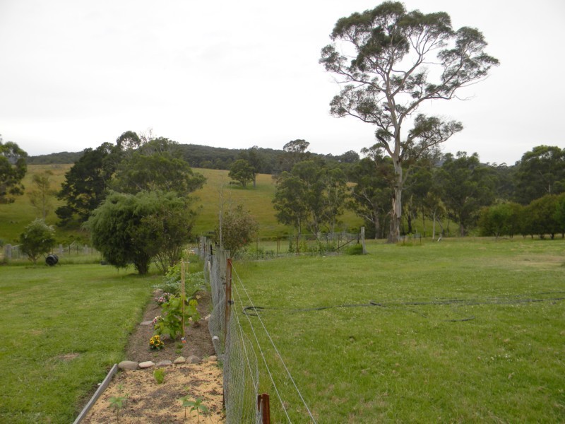 2386 Mt Darragh Road, Wyndham NSW 2550