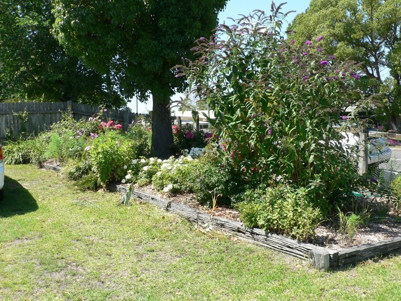 32 Bermagui Road, Cobargo NSW 2550