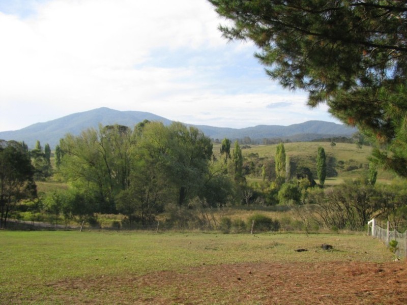 6 Ben Beasley Road, Towamba NSW 2550