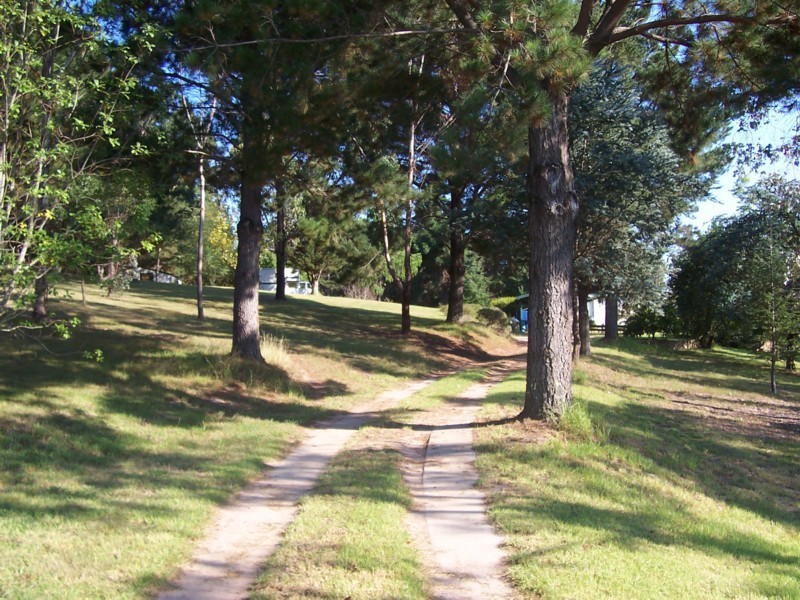 6 Ben Beasley Road, Towamba NSW 2550