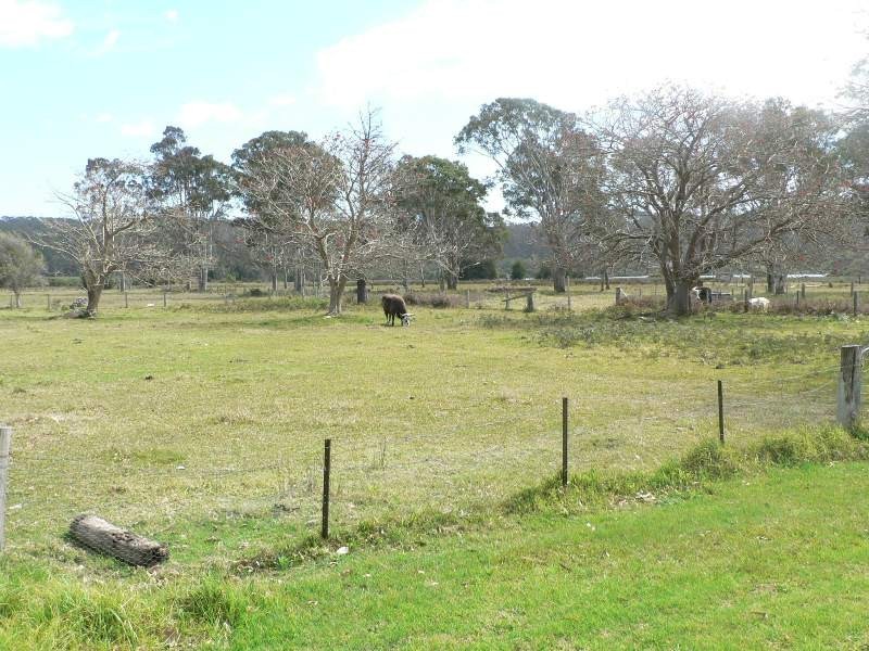 59 Racecourse Road, Bermagui NSW 2546