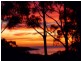 25 Acacia Crescent, Tura Beach NSW 2548