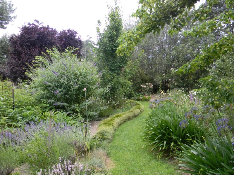 21 Sharpe Street, Candelo NSW 2550