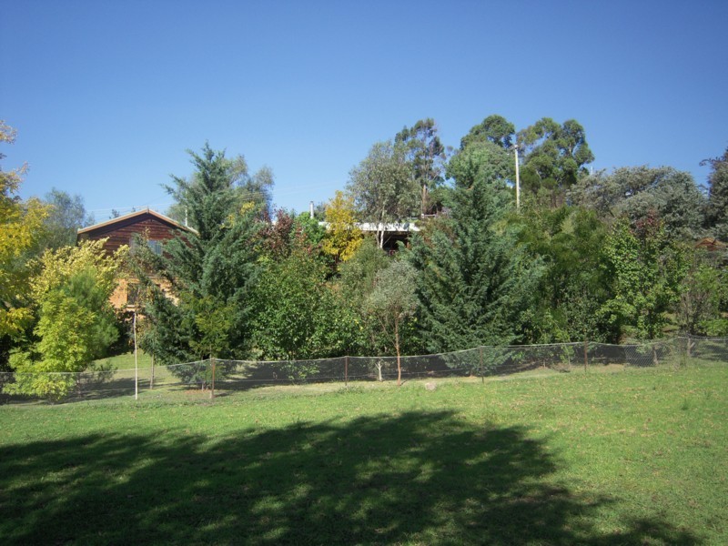 42 Panbula Street, Candelo NSW 2550