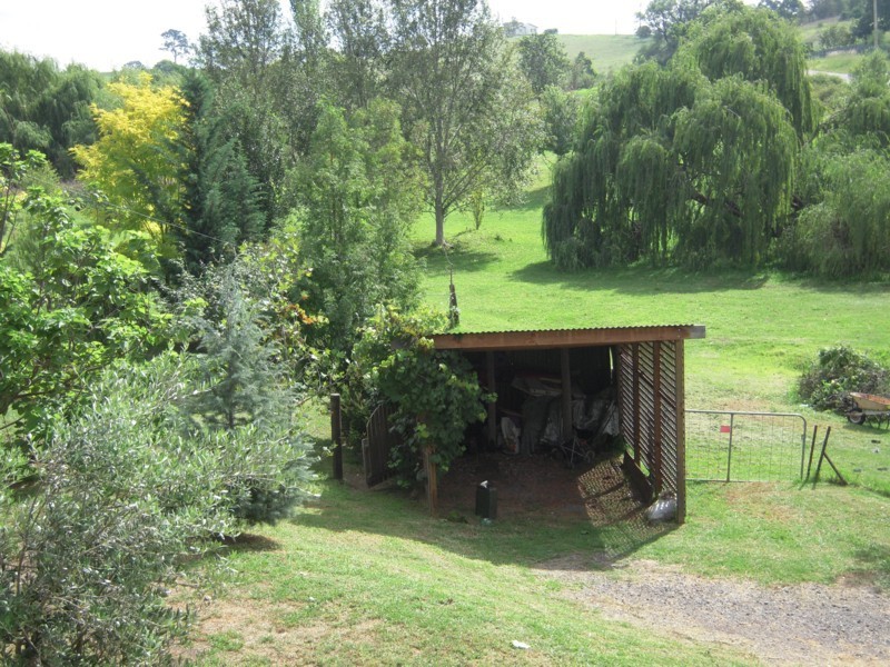 42 Panbula Street, Candelo NSW 2550