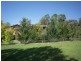 42 Panbula Street, Candelo NSW 2550